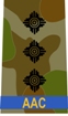 Badge of rank for CAPT-AAC