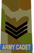 Badge of rank for CDTSGT