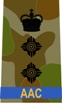 Badge of rank for COL-AAC