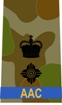 Badge of rank for LTCOL-AAC